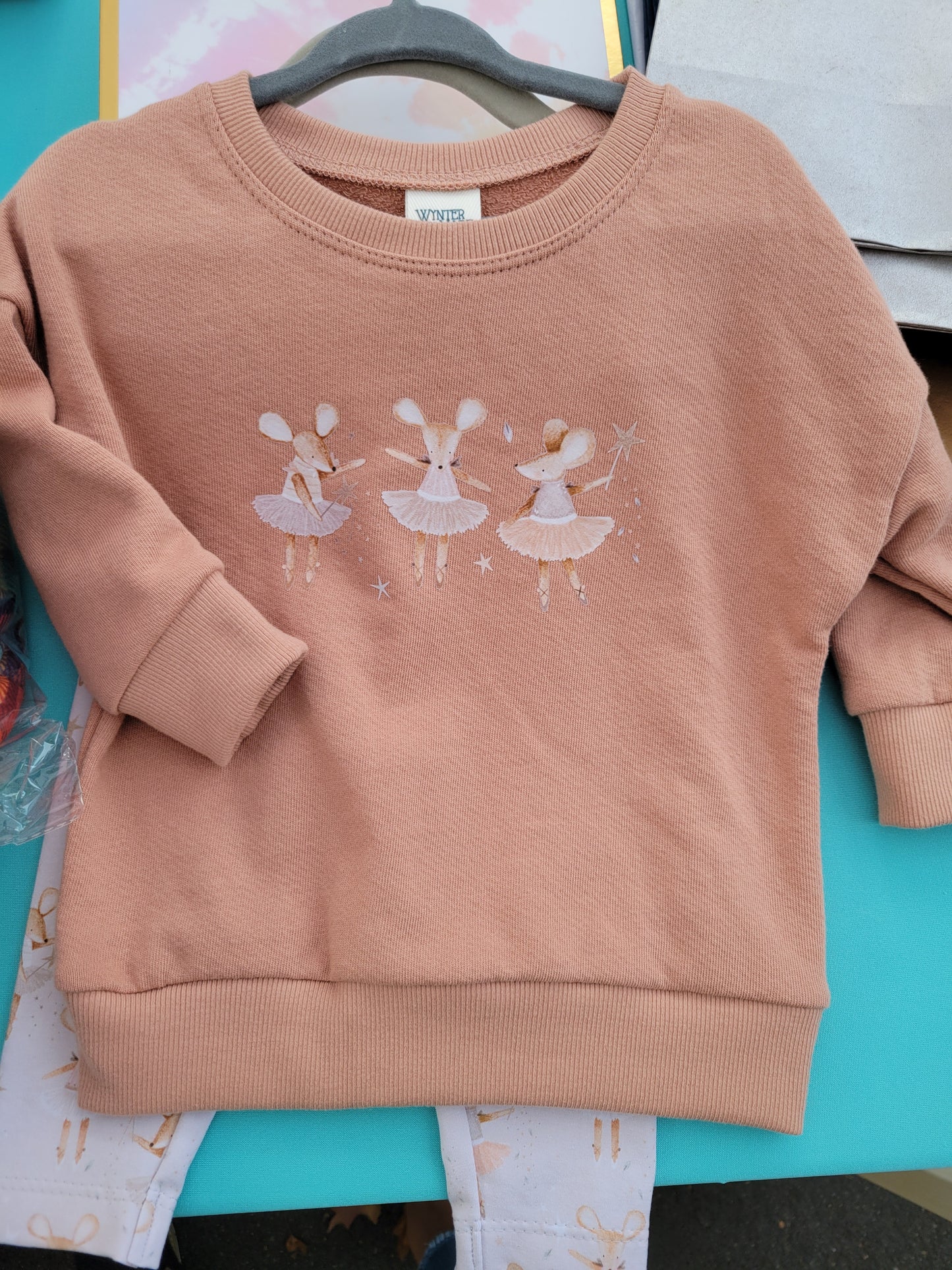 Ballerina Mouse Dolman & Leggings Set