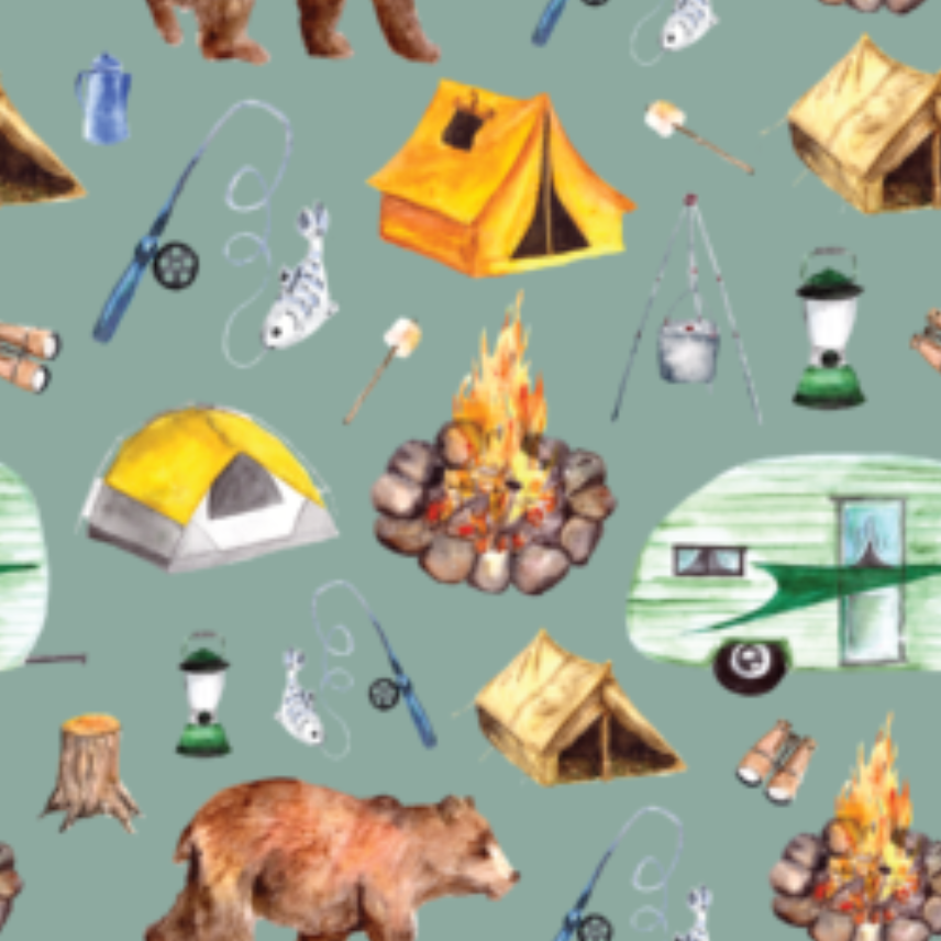 Minky Blanket- Animals