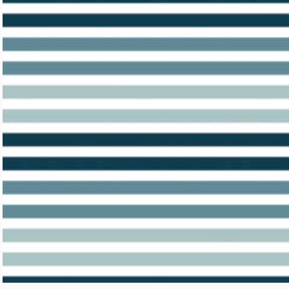 Minky Blanket- Stripes/Plaid