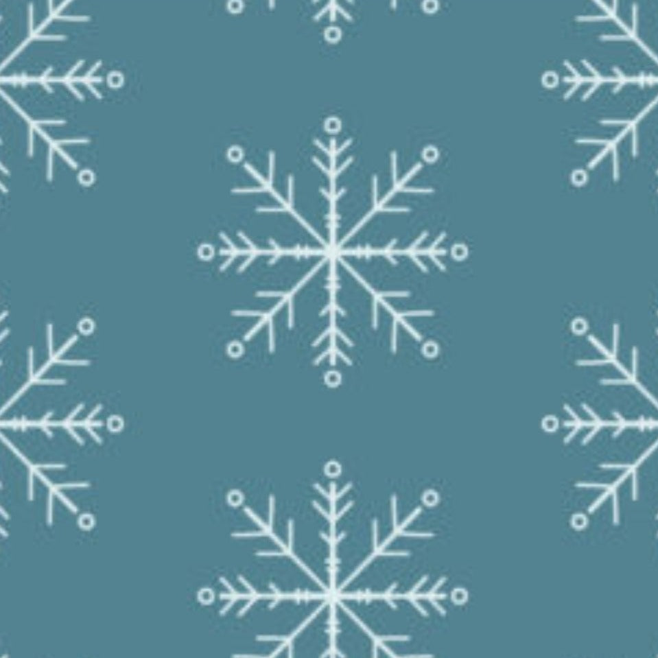 Minky Blanket- Holidays/Seasons